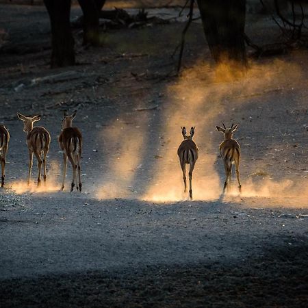 Gabus Safari Lodge Otavi ภายนอก รูปภาพ