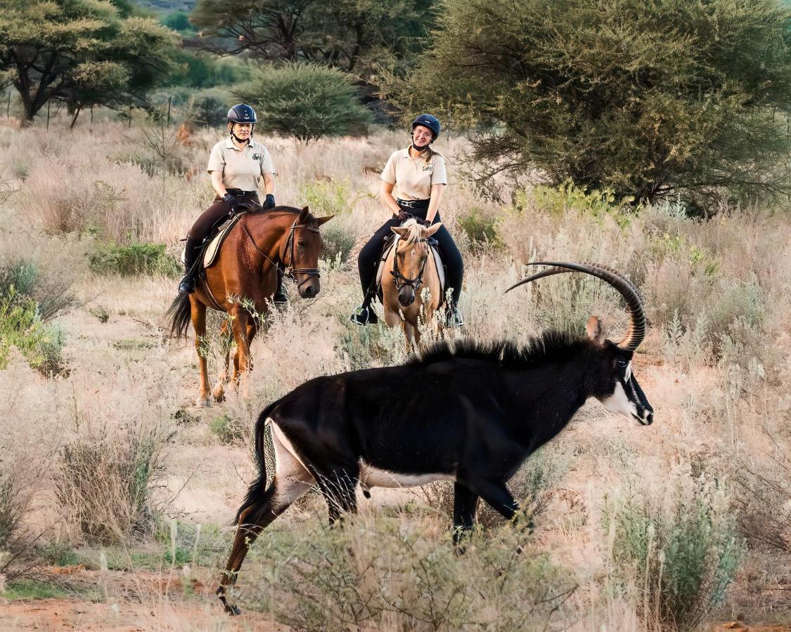 Gabus Safari Lodge Otavi ภายนอก รูปภาพ