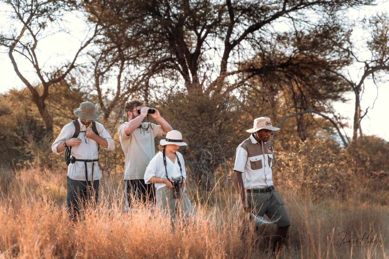 Gabus Safari Lodge Otavi ภายนอก รูปภาพ