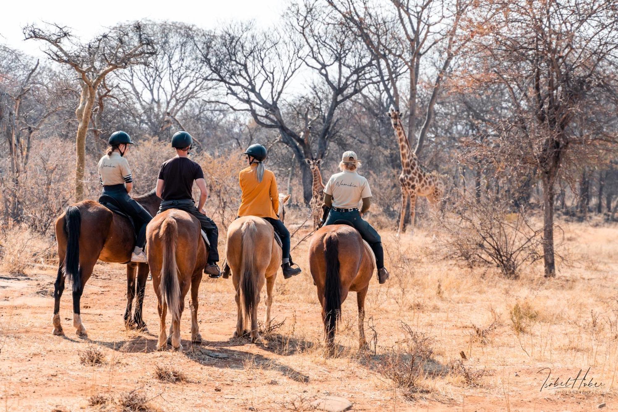 Gabus Safari Lodge Otavi ภายนอก รูปภาพ